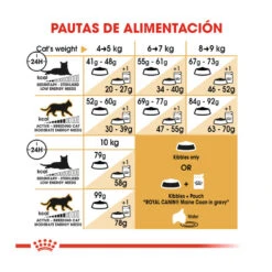 Royal Canin Adult Maine Coon Pienso Para Gatos -Catit Ventas comida gatos royal canin adult maine coon ROY309338 M 8