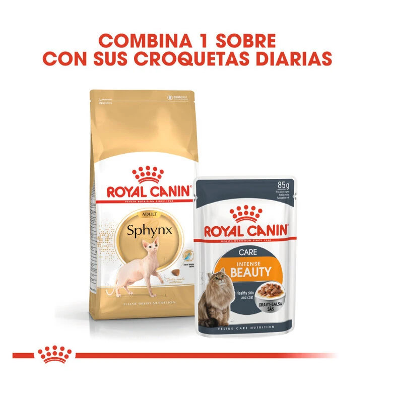 Royal Canin Adult Sphynx pienso para gatos Royal Canin Adult Sphynx Pienso Para Gatos -Catit Ventas