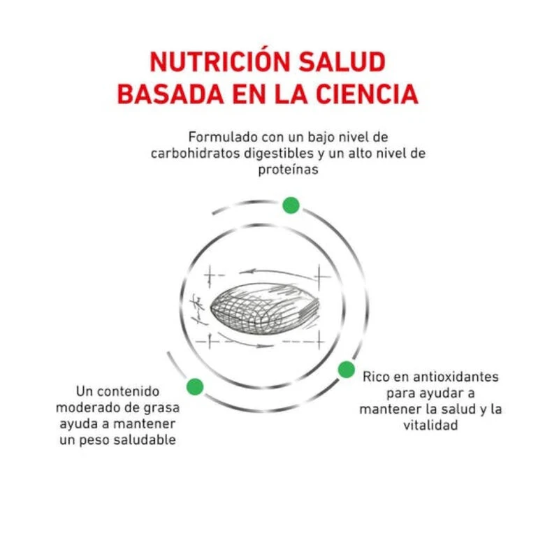 Royal Canin Veterinary Diabetic pienso para gatos Royal Canin Veterinary Diabetic Pienso Para Gatos -Catit Ventas comida gatos royal canin veterinary diet diabteic ROY493626 M 2