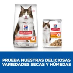 Hill's Hill’s Science Plan Perfect Digestion Adult Pollo Pienso Para Gatos -Catit Ventas comida para gatos digestivo hills HIL605955 M JN23205