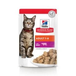 Hill's Science Plan Hill's Adult Para Gatos -Catit Ventas es cat adult beef pouch ongoing front packaging 1