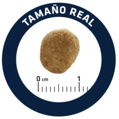 Advance Feline VD Obesity Management -Catit Ventas feline vd obesity management 5 4