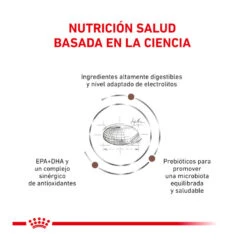 Royal Canin Veterinary Gastrointestinal Moderate Calorie Pienso Para Gatos -Catit Ventas gatos rc veterinary diet gastro calorie ROY491936 2