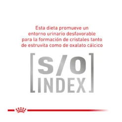 Royal Canin Veterinary Gastrointestinal Moderate Calorie Pienso Para Gatos -Catit Ventas gatos rc veterinary diet gastro calorie ROY491936 4