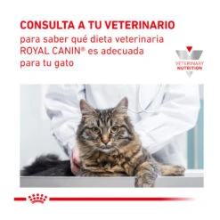 Royal Canin Veterinary Gastrointestinal Moderate Calorie Pienso Para Gatos -Catit Ventas gatos rc veterinary diet gastro calorie ROY491936 7