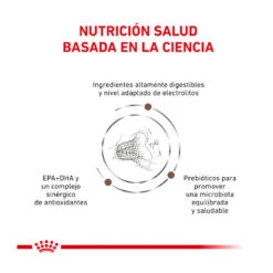 Royal Canin Veterinary Gastrointestinal Fibre Response Pienso Para Gatos -Catit Ventas gatos rc veterinary diet response ROY492028 3