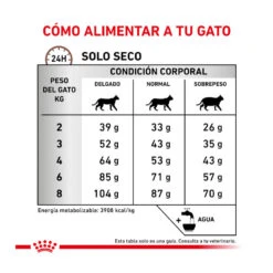 Royal Canin Veterinary Gastrointestinal Fibre Response Pienso Para Gatos -Catit Ventas gatos rc veterinary diet response ROY492028 7