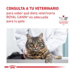 Royal Canin Veterinary Gastrointestinal Fibre Response Pienso Para Gatos -Catit Ventas gatos rc veterinary diet response ROY492028 8