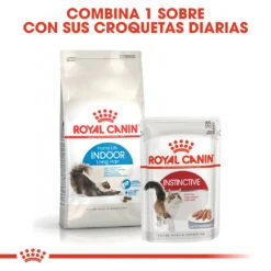 ROYAL CANIN Indoor Long Hair 35 Pienso Para Gato Adulto De Interior Pelo Largo -Catit Ventas indoor long hair 5