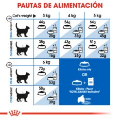 ROYAL CANIN Indoor Long Hair 35 Pienso Para Gato Adulto De Interior Pelo Largo -Catit Ventas indoor long hair 7