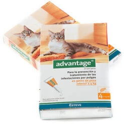 Advantage Pipetas Para Gatos -4 Kg (40ml) -Catit Ventas menos4kg 6232243c6e716