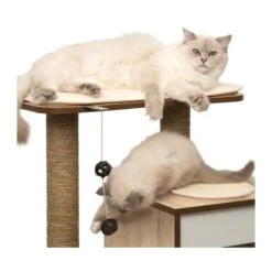 Catit Rascador De Madera Base Roble 2 Catit Rascador De Madera Base Roble -Catit Ventas mueble rascador para gatos v base vesper 2 621de7754e8d6