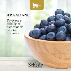 Schesir Natural Selection Kitten Pavo Grain Free -Catit Ventas natural selection kitten pavo grain free 7