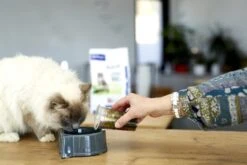 Virbac Veterinary Adult Neutered -Catit Ventas neuteredadultcat 62305a44861d7