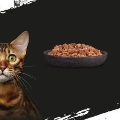 Crave 16 X 85 G En Bolsitas Para Gatos - Pack Mixto -Catit Ventas new project 2022 09 08t104633 835 8
