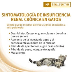 NF Renal Function ST/OX -Catit Ventas nf renal function st ox 5