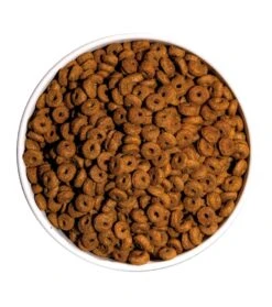 Pienso Para Gatos Classic Daily Care -Catit Ventas ow classic daily care platoadl 6389ee1129ed8