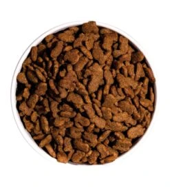 Pienso Para Gatos Classic Pescado -Catit Ventas ow classic fish cat platoadl 6389edf661ead