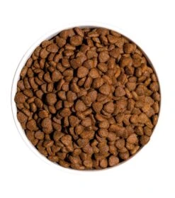 Pienso Para Gatos Classic Kitten -Catit Ventas ow classic kitten platoadl 6389eea8e5559