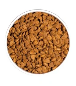 Pienso Para Gatos Classic Light -Catit Ventas ow classic light cat platoadl 6389ee8aac24a