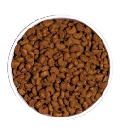 Pienso Para Gatos Classic Sterilized -Catit Ventas ow classic sterilized platoadl 6389edb0603bc