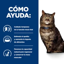 Hill's Prescription Diet K/d Early Stage Feline Con Pollo -Catit Ventas pd kd early stage feline chicken dry productSpotlight1 500 63874c44b9d5f