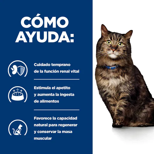 Hill's Prescription Diet K/d Early Stage Feline Con Pollo -Catit Ventas pd kd early stage feline chicken dry productSpotlight1 500 63874c44b9d5f