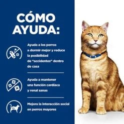 Hill's C/d Prescription Diet Multicare Urinary Care Sobres Para Gatos 7 Hill's C/d Prescription Diet Multicare Urinary Care Sobres Para Gatos -Catit Ventas pd cd multicare cat bk20177 bk25948m bk26382m bk27563m bk28017 how helps es 0