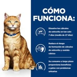 Hill's C/d Prescription Diet Latas Comida Húmeda Para Gatos -Catit Ventas pd cd multicare cat bk20177 bk25948m bk26382m bk27563m bk28017 how works es 8