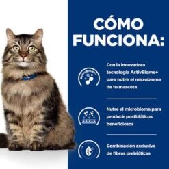 Hill's Gastrointestinal Biome Prescription Diet Estofado Para Gatos 4 Hill's Gastrointestinal Biome Prescription Diet Estofado Para Gatos -Catit Ventas pd gibiome cat bk32326m bk31171 how works es 6