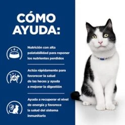 Hill's I/d Prescription Diet Digestive Care Estofado Con Pollo Para Gatos 5 Hill's I/d Prescription Diet Digestive Care Estofado Con Pollo Para Gatos -Catit Ventas pd id activbiome cat bk30994m bk30913 bk31379 bk30787 bk31600m bk31599m how helps es 0