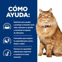Hill's K/d + Mobility Prescription Diet Bolsitas Para Gatos -Catit Ventas pd kd mobility cat bk24069m bk27533m how helps es 4