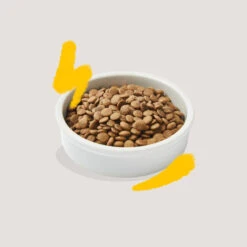 Edgard & Cooper Adult Pavo Y Pollo Pienso Para Gatos -Catit Ventas pienso gato edgard cooper pavo pollo adult EDG0377 2