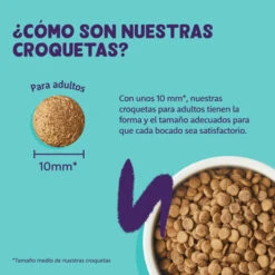 Edgard & Cooper Adult Pavo Y Pollo Pienso Para Gatos -Catit Ventas pienso gato edgard cooper pavo pollo adult EDG0377 6