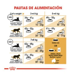 Royal Canin Adult British Shorthair Pienso Para Gatos -Catit Ventas pienso gatos royal20canin british20shorthair ROY309560 M 8