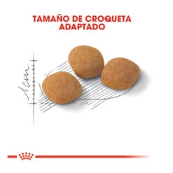 Royal Canin Adult Exigent Protein Pienso Para Gatos -Catit Ventas pienso gatos royal20canin exigent protein ROY317628 M 3