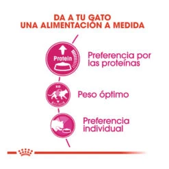 Royal Canin Adult Exigent Protein Pienso Para Gatos -Catit Ventas pienso gatos royal20canin exigent protein ROY317628 M 4