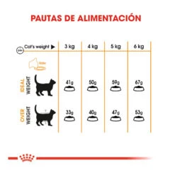 Royal Canin Hair&Skin Pienso Para Gatos -Catit Ventas pienso gatos royal20canin hair2020skin ROY307161 M 8
