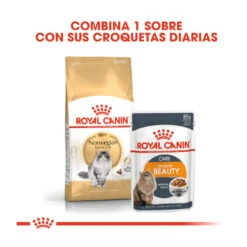 Royal Canin Adult Norwegian Forest Pienso Para Gatos -Catit Ventas pienso gatos royal20canin norwegian20forest20cat ROY309760 M 3