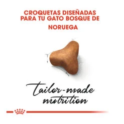 Royal Canin Adult Norwegian Forest Pienso Para Gatos -Catit Ventas pienso gatos royal20canin norwegian20forest20cat ROY309760 M 5