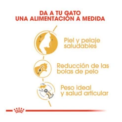 Royal Canin Adult Norwegian Forest Pienso Para Gatos -Catit Ventas pienso gatos royal20canin norwegian20forest20cat ROY309760 M 6