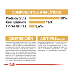 Royal Canin Adult Norwegian Forest Pienso Para Gatos -Catit Ventas pienso gatos royal20canin norwegian20forest20cat ROY309760 M 7