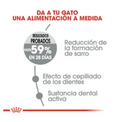 Royal Canin Adult Oral Pienso Para Gatos -Catit Ventas pienso gatos royal20canin oral20care ROY317453 M 5