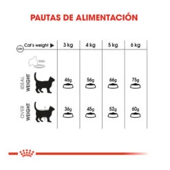 Royal Canin Adult Oral Pienso Para Gatos -Catit Ventas pienso gatos royal20canin oral20care ROY317453 M 7