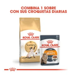 Royal Canin Adult Siamese Pienso Para Gatos -Catit Ventas pienso gatos royal20canin siamese adult ROY309161 M 3