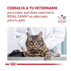 Royal Canin Veterinary Gastrointestinal Hairball Pienso Para Gatos -Catit Ventas pienso gatos royal canin feline skin hairball ROY46451 M 8