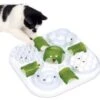Catit Play Treat Puzzle