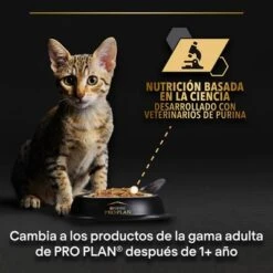 PURINA PRO PLAN Kitten Healthy Start 24 X 85 G En Latas -Catit Ventas puprpnwcadvhenocach23trplajcles 3
