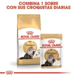 Royal Canin Breed Persian -Catit Ventas rc fbn wet persian cv eretailkit 4 es es 0
