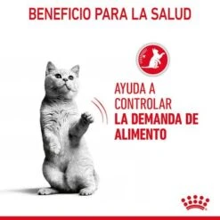 Royal Canin Appetite Control Care En Gelatina -Catit Ventas rc fcn appetitecontrolpouchjelly 6 es es 5